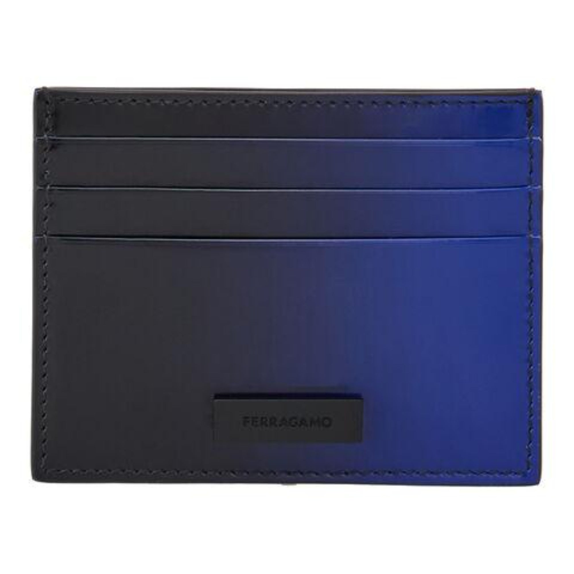 Credit Card Case (BLUE)