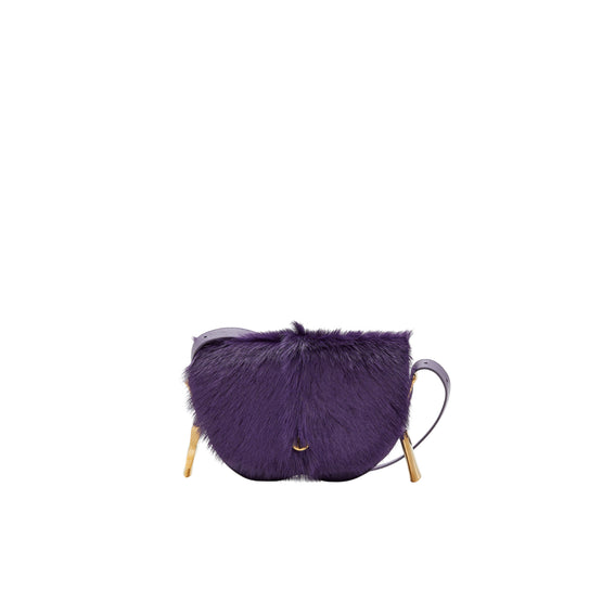 체스 사첼 리본