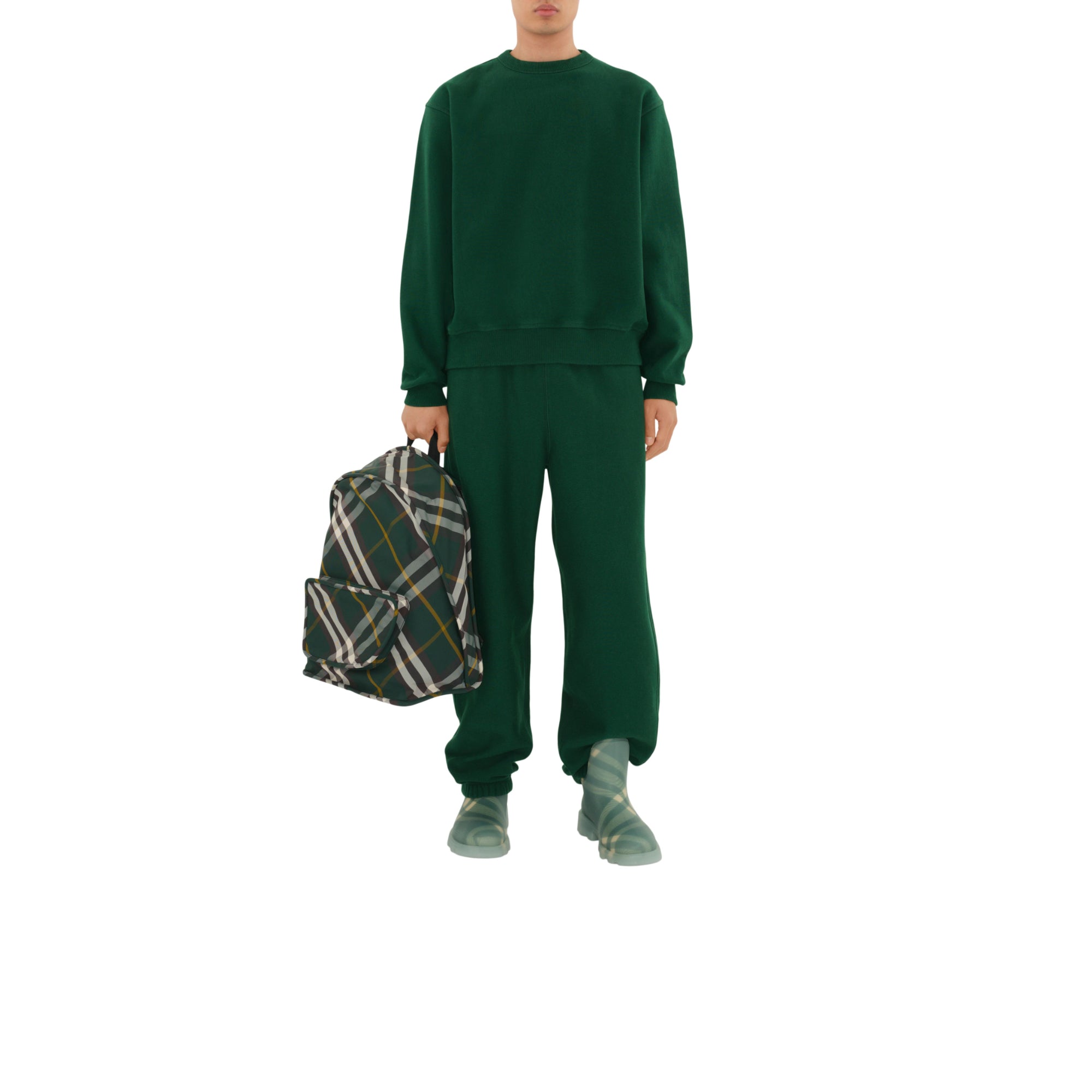 라지 쉴드 백팩 아이비