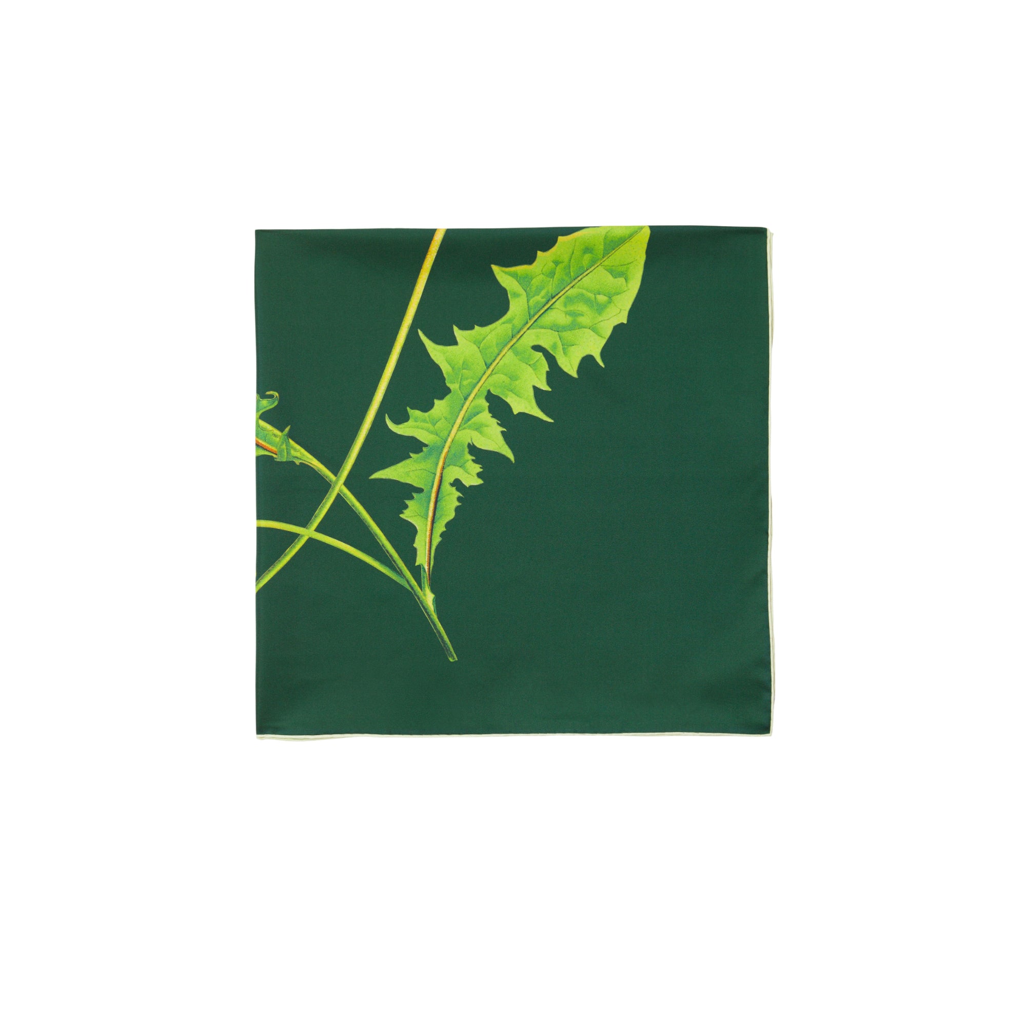 댄디라이언 실크 스카프 아이비