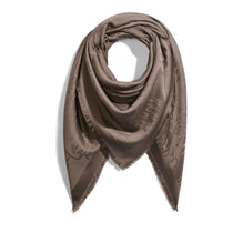 T25SJ137 WDBJ S51 SCARF