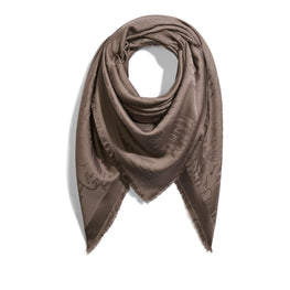 T25SJ137 WDBJ S51 SCARF