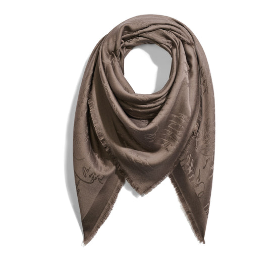 T25SJ137 WDBJ S51 SCARF