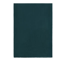 T25SJ150 WDBJ H43 SCARF