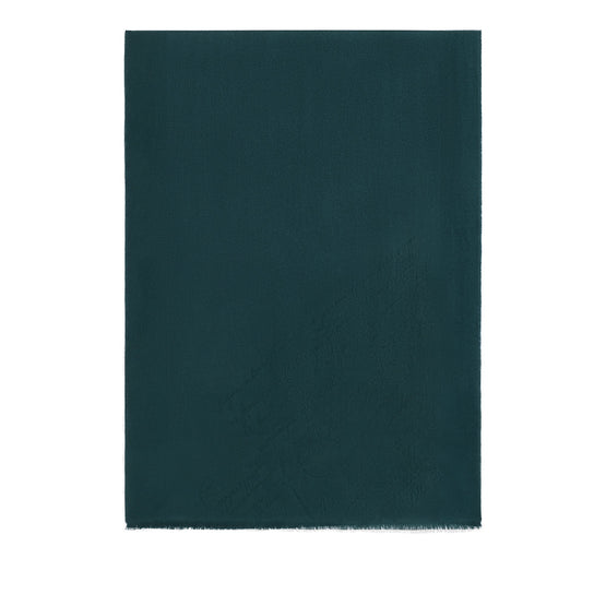 T25SJ150 WDBJ H43 SCARF