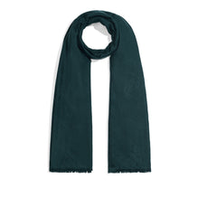 T25SJ150 WDBJ H43 SCARF