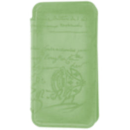 IPHONE 14 PRO FOLIO VN SCRITTO OLIVE